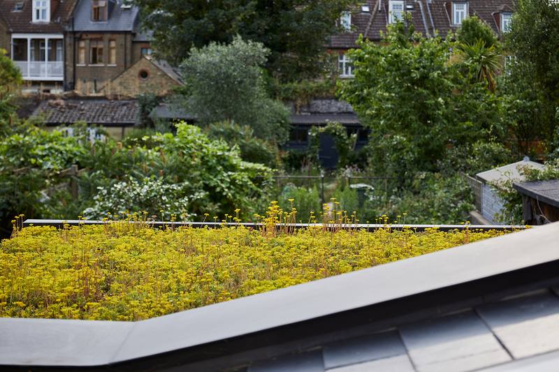 Sedum roof, Acton